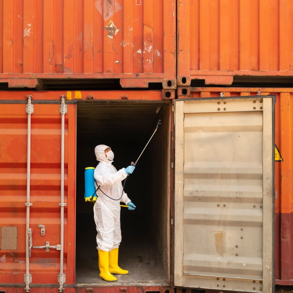 Export Container Fumigation in Pune