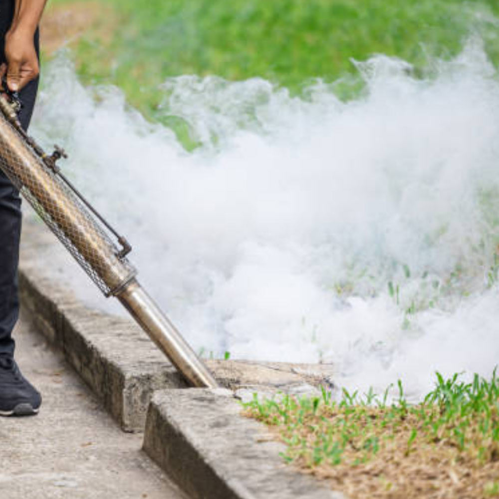Mosquito Fogging in Pune