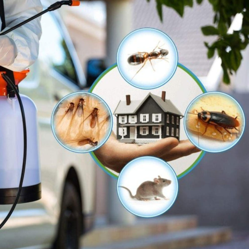 Pest Control AMC in Pune