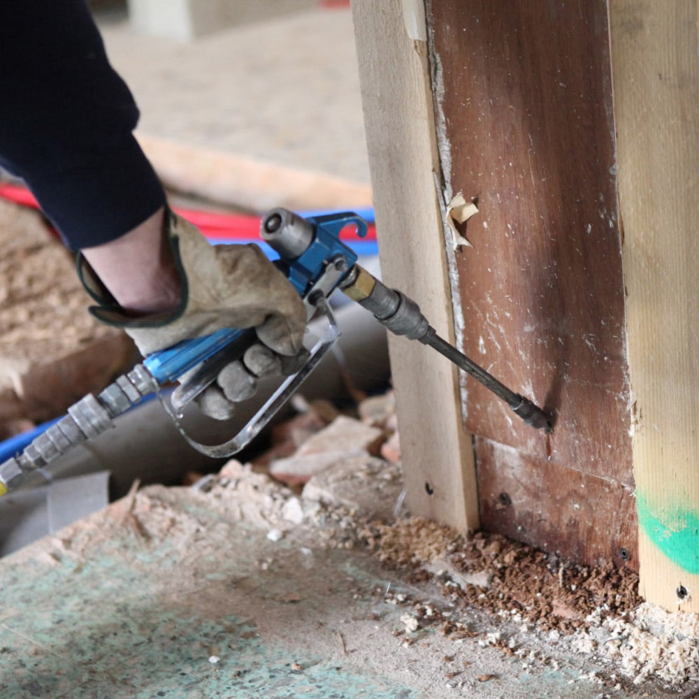 Termite Pest Control Services in Pune