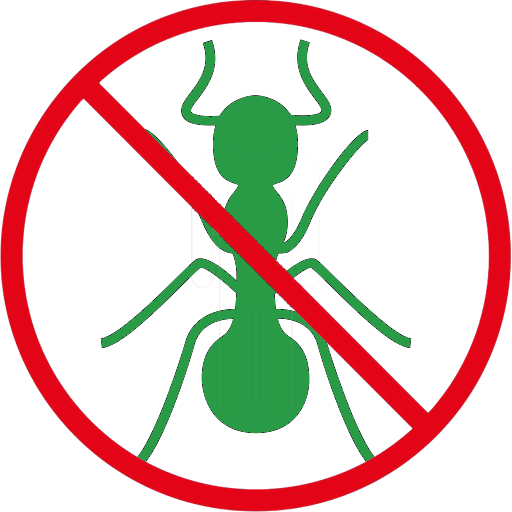 Ant