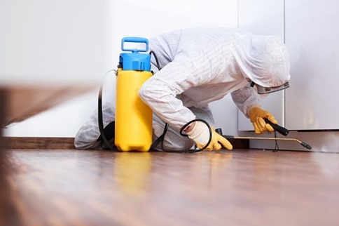 Inspection Step