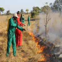 Conservancy Works Service Image