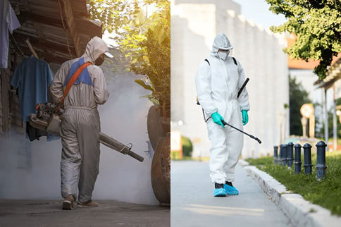 Fumigation Inspection