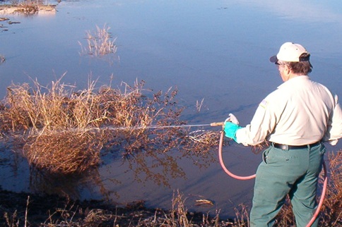 Larvicide Application